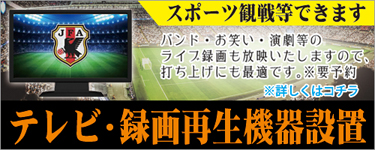 テレビ・ビデオ観戦